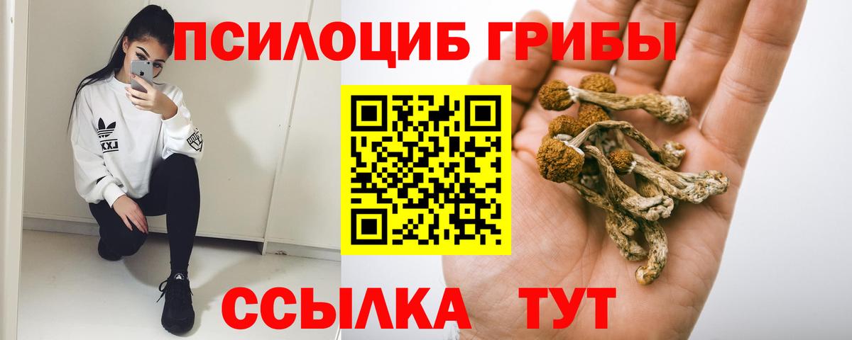 сколько стоит  Галлюциногенные грибы Psilocybine cubensis  Вход с VPN  Набережные Челны  Галлюциногенные грибы GOLDEN TEACHER 
